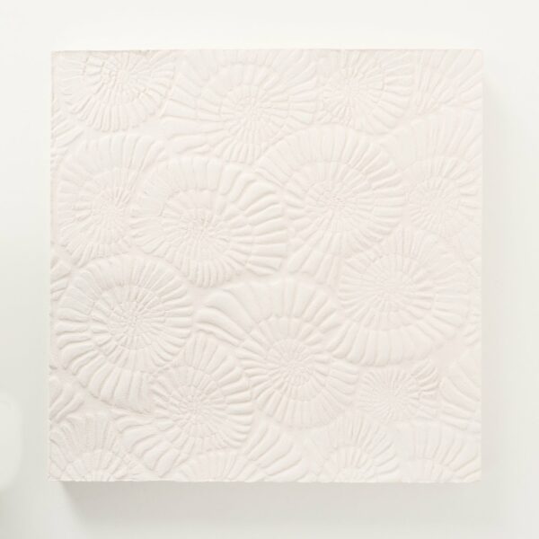 Tableau relief coquillage blanc mat